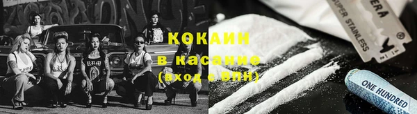 шишки Белая Холуница