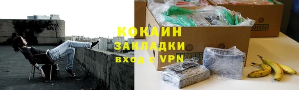 шишки Бежецк