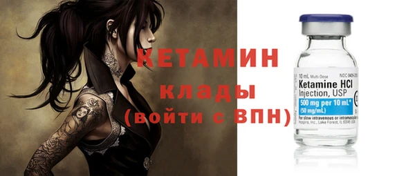 шишки Белая Холуница