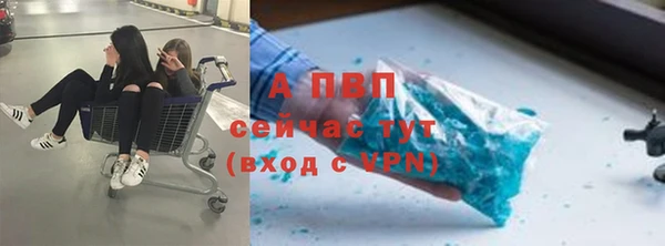 сатива Медвежьегорск