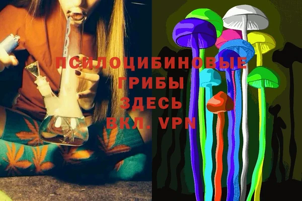 спиды Михайловск