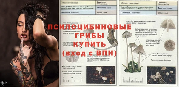 шишки Белая Холуница