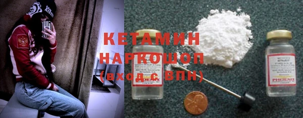 шишки Белая Холуница