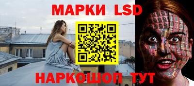 шишки Кингисепп