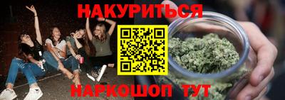 шишки Кингисепп