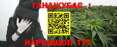 шишки Кингисепп