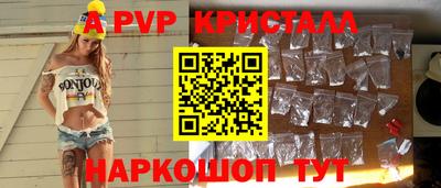 шишки Кингисепп
