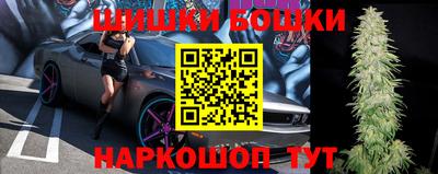шишки Кингисепп