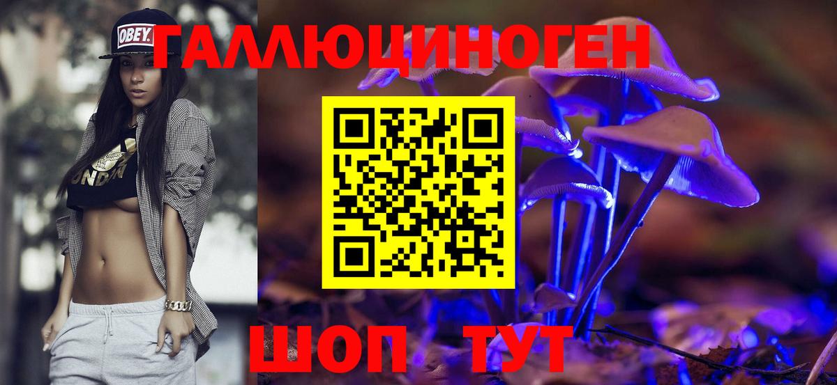 Псилоцибиновые грибы GOLDEN TEACHER  Псилоцибиновые грибы мухоморы  Киржач  Вход с VPN 